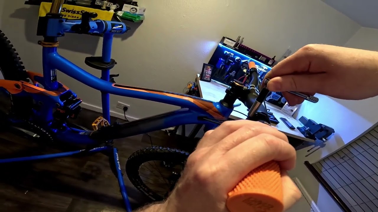 Giant trance 1 2019 bolt check 