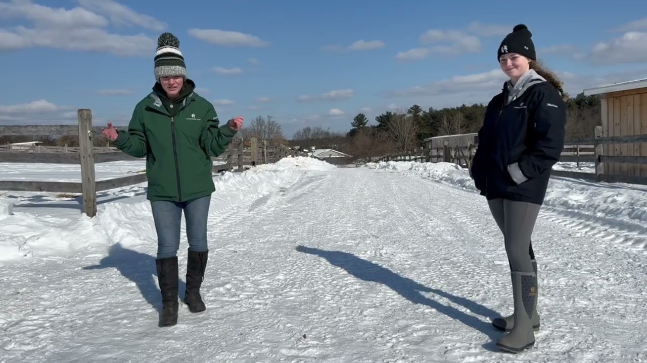 Behind the Scenes - Winter Equine Operations
