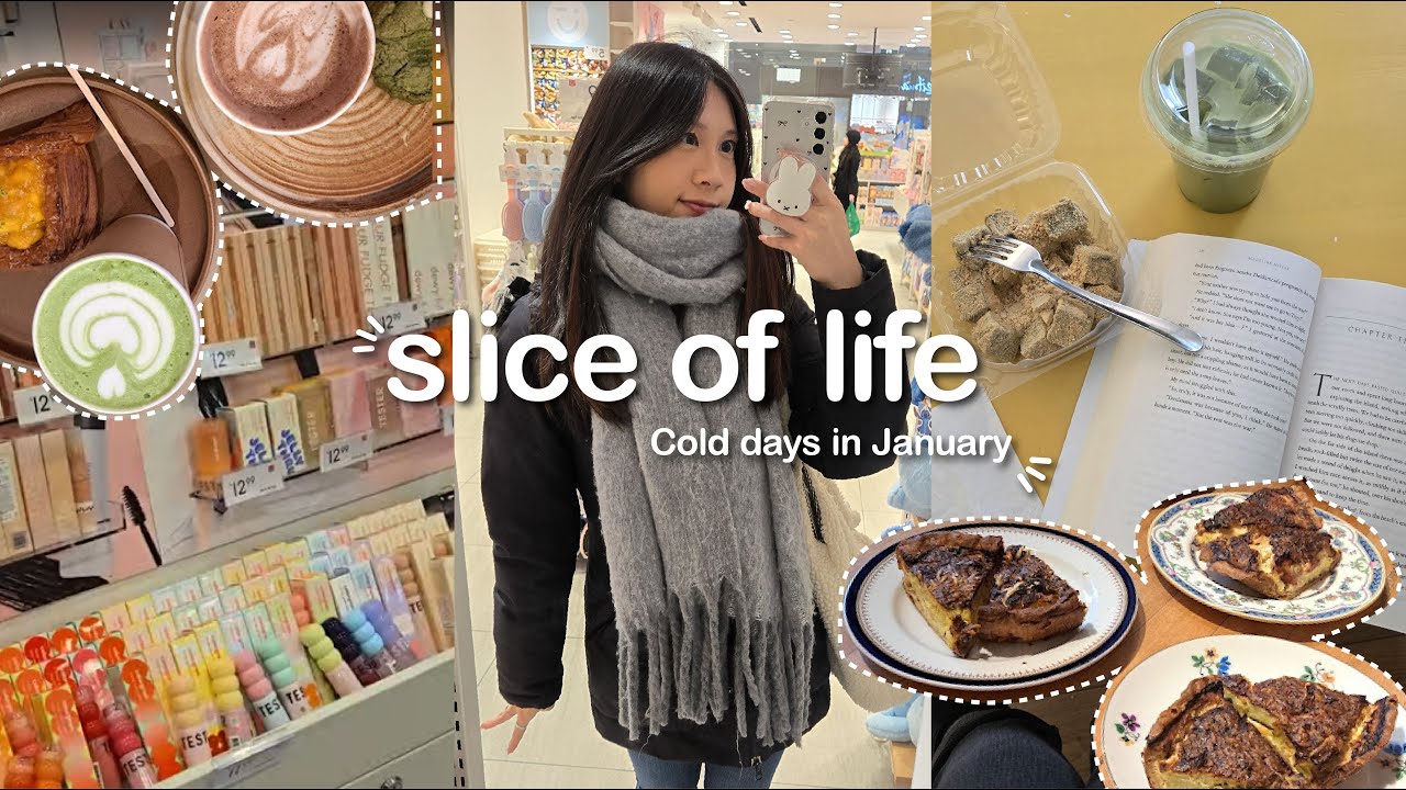 slice of life ❄️ cold january days, being productive, life in Toronto after a snowstorm