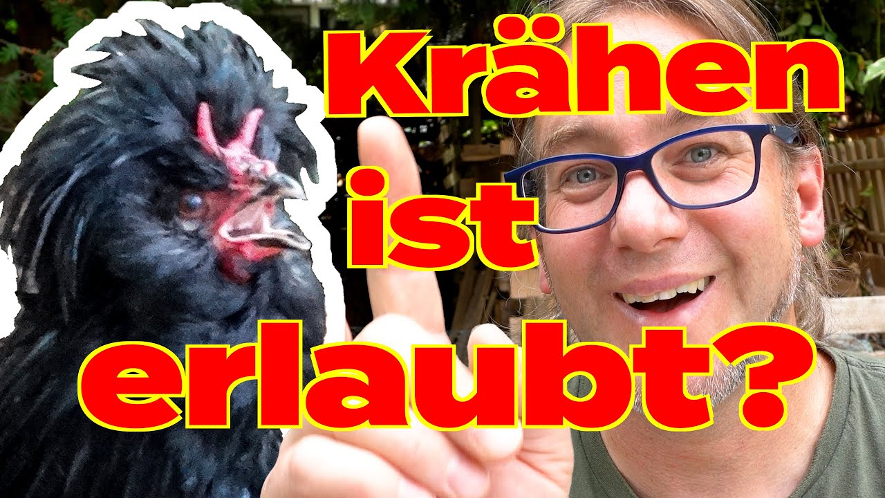 Hähne krähen als Sinneserbe erlauben! Petition erfolgreich? Oder reicht uns schon die TA-Lärm?