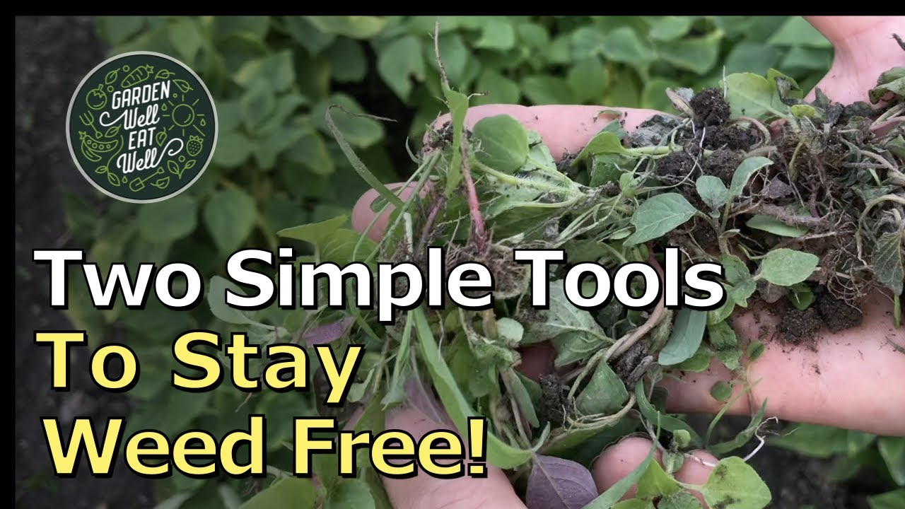 A Stirrup Hoe...And Just A Spoon! The ONLY Tools You Need For A Weed Free Garden!