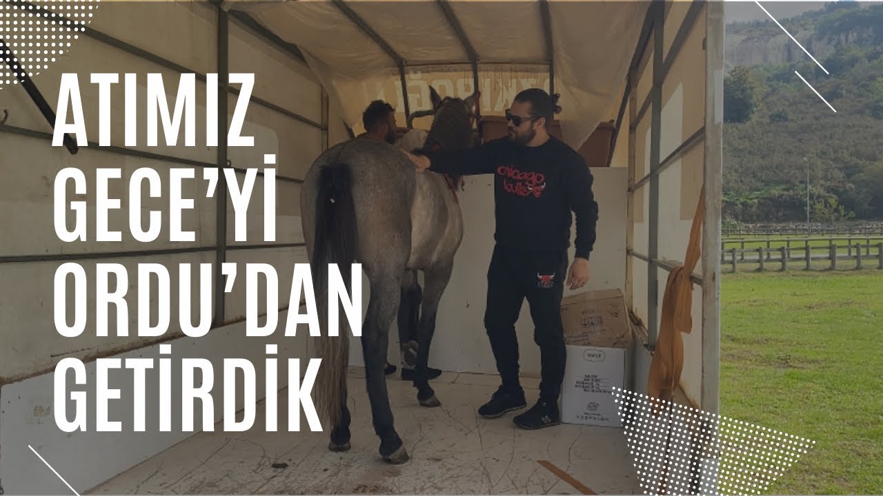 ATIMIZ GECE’Yİ ORDU’DAN GETİRDİK. HAYIRLI OLUR İNŞALLAH.