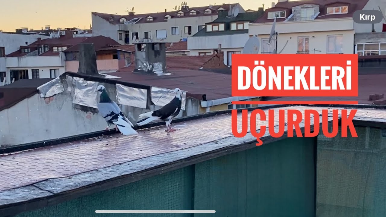 RECEBİN KÜMESİNDE MUHTEŞEM DÖNEN DÖNEKLERİNİ UÇURDUK