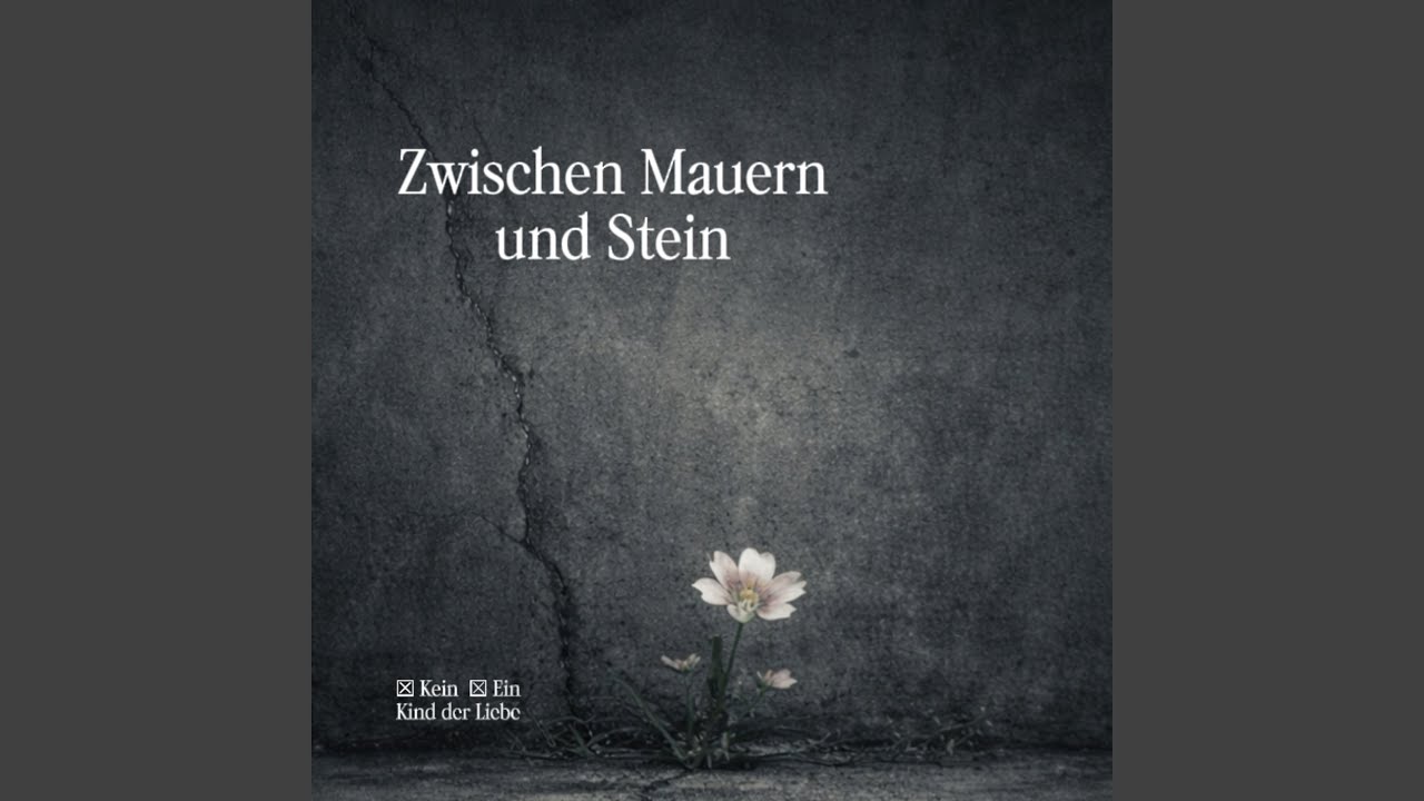 Zwischen Mauern und Stein