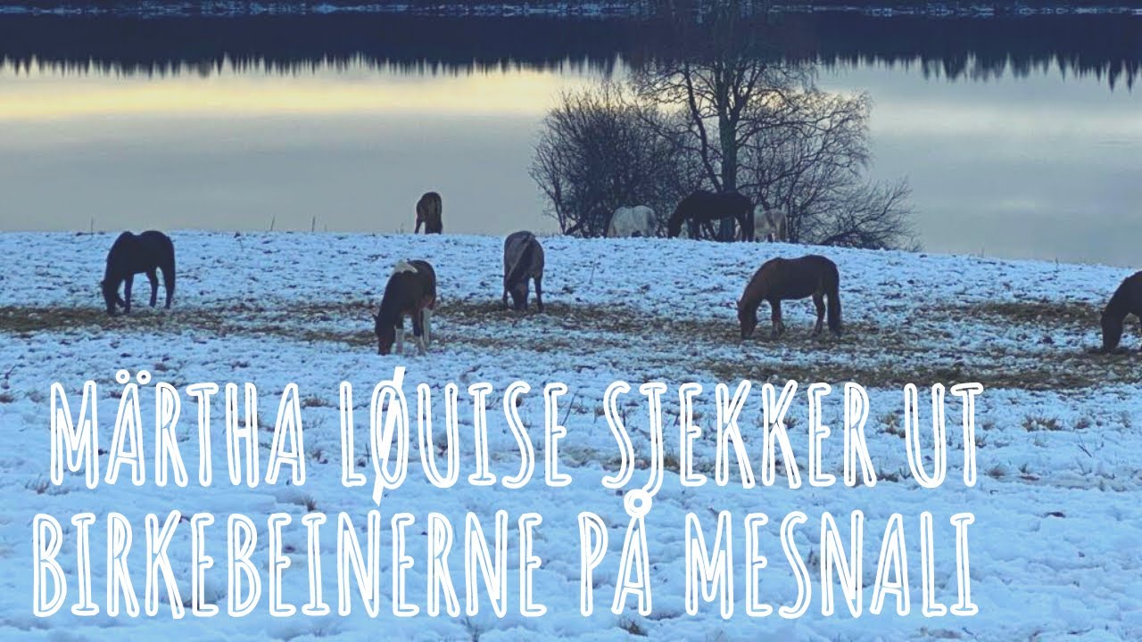 Birkebeinerne | Vlog12⁴