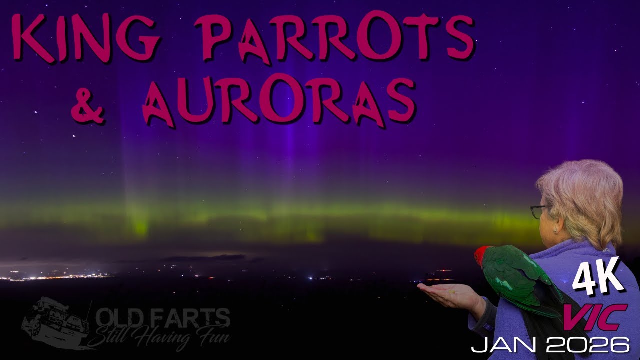 Parrots and Auroras Blackwood VIC Jan2026