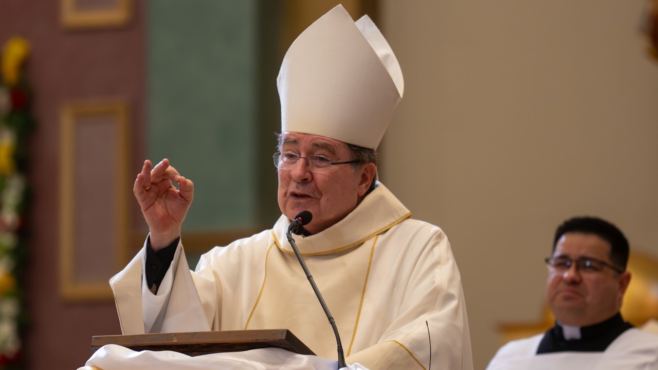 Cardinal Christophe Pierre's remarks during the Ordination Mass on February 17, 2026