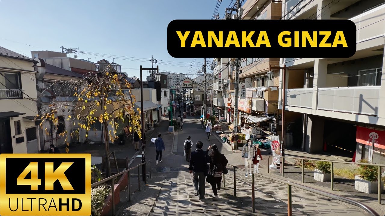 TOKYO, JAPAN 🇯🇵 [4K] YANAKA GINZA &mdash; Walking Tour