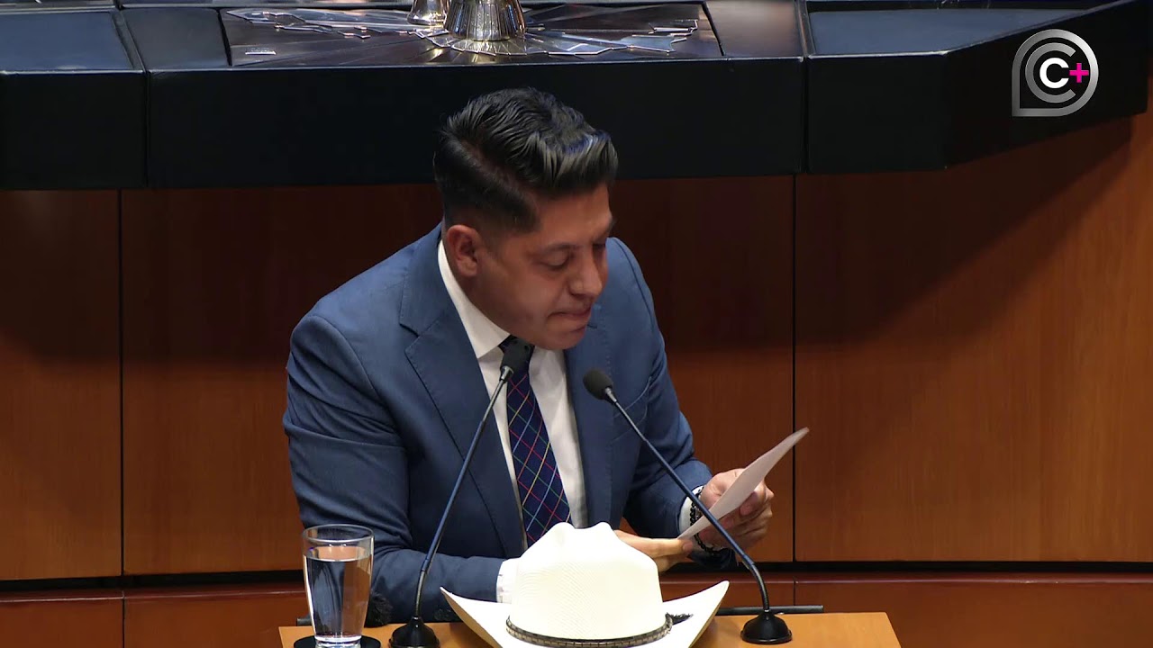 Sesión de la Cámara de Senadores, del 4 de noviembre de 2025