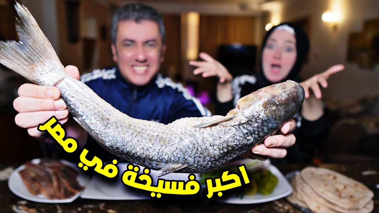 اكبر فسيخة في مصر 🐟