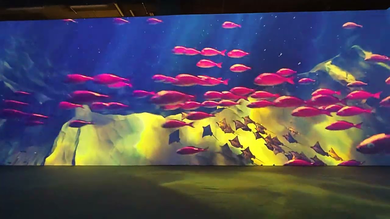 DJI 20250201114419 0057 D