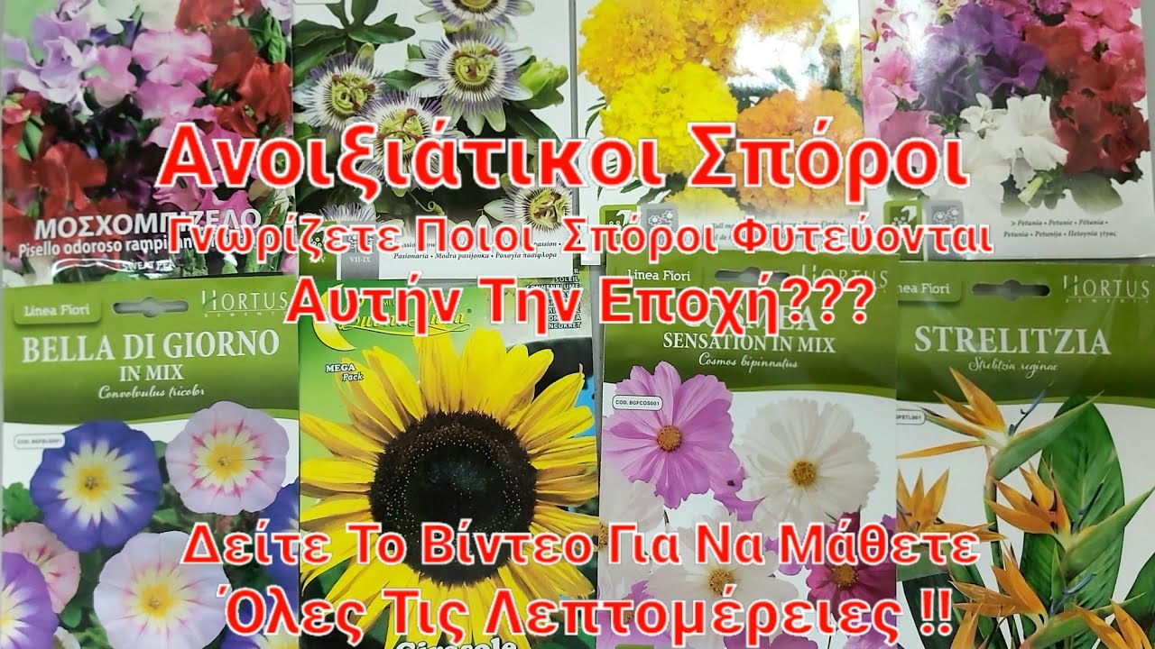 70 Ειδη Ανοιξιάτικοι Σπόροι Λουλουδιών | Δείτε Το Βίντεο Για Να Μάθετε Όλες Τις Λεπτομέρειες #σπόροι