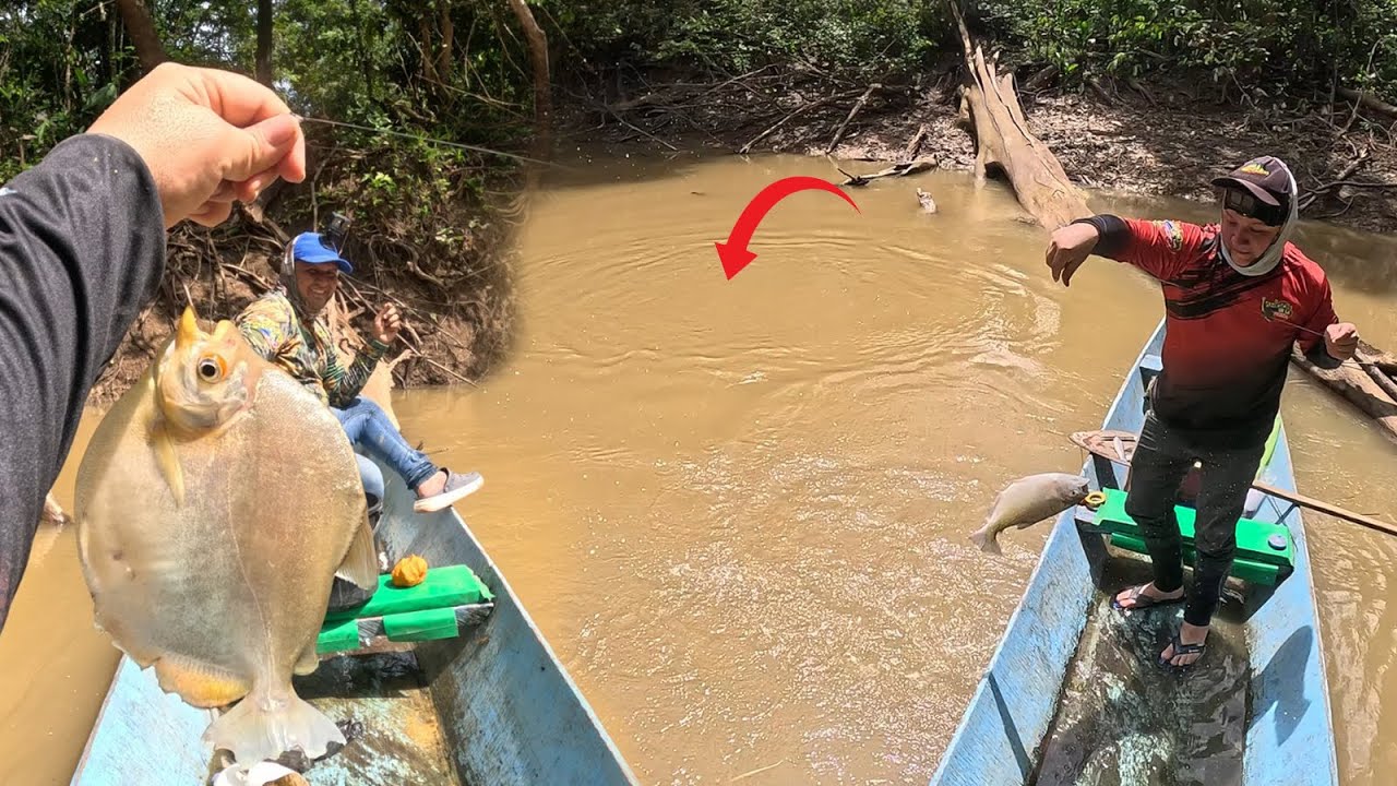 Amigos de la Pesca cap 59: Laguna los Cámbulos Selva del Guaviare pescando de todo con línea de mano