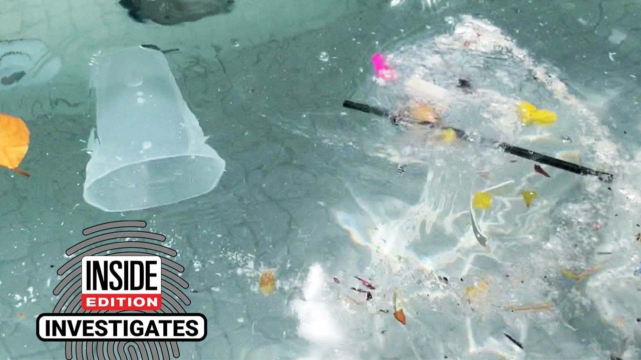 How Clean Is the Water at Some Las Vegas Pool Clubs?