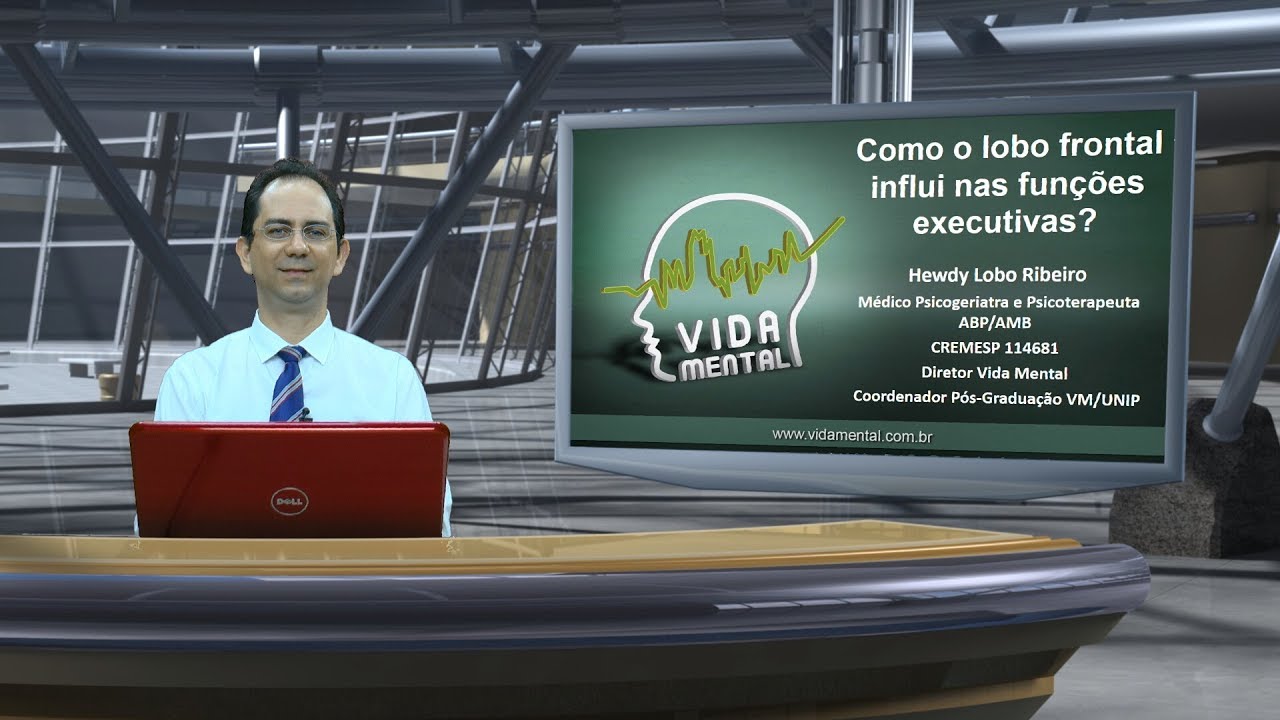 Como o lobo frontal influi nas funções executivas? | Vida Mental