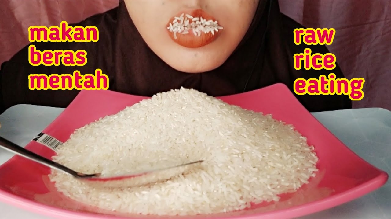 ASMR RAW QUEEN PARROT RICE EATING SOUNDS, MAKAN BERAS MENTAH VAGAS CAP NURI,生ご飯を食べる,밥을 먹다,吃生米