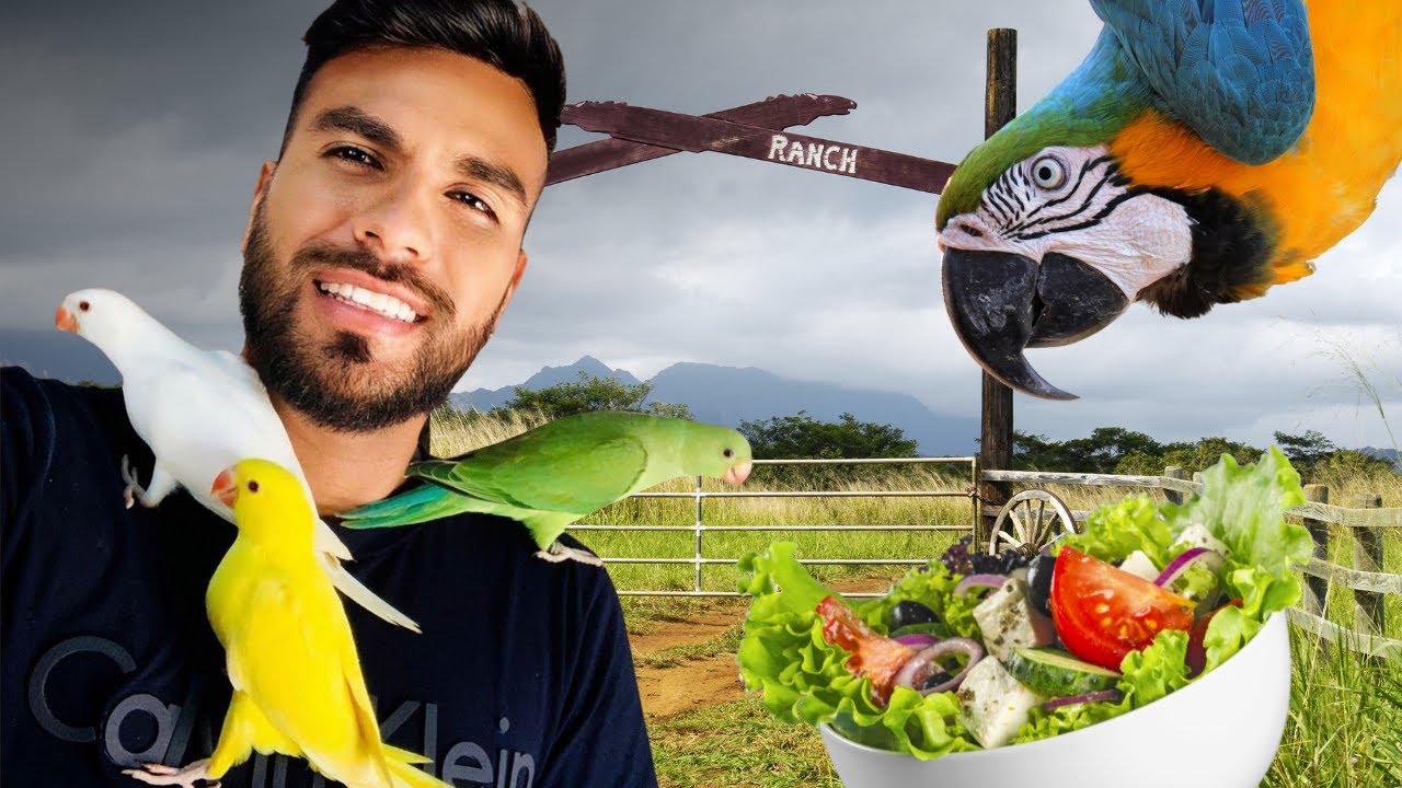 Aves en México 🇲🇽  Exotic Charles te invita a su aviario en el Rancho