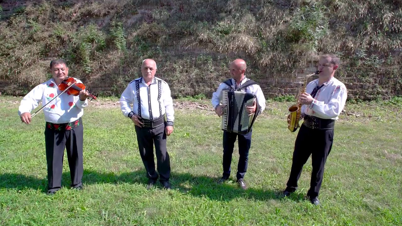 Aurel Mascovici - De La Alba La Cugir