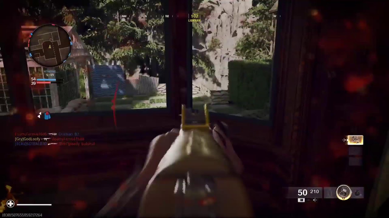 Call of Duty  :  surly