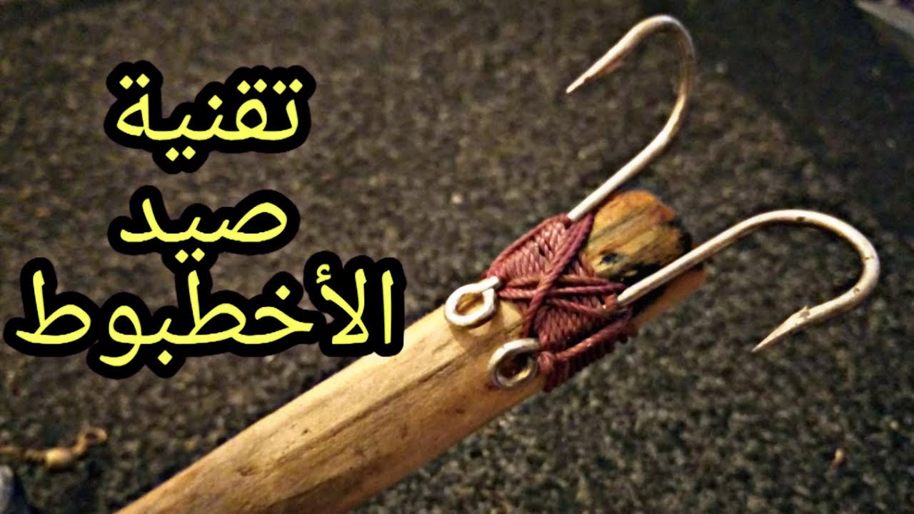 تقنية صيد الأخطبوط بالكرشة