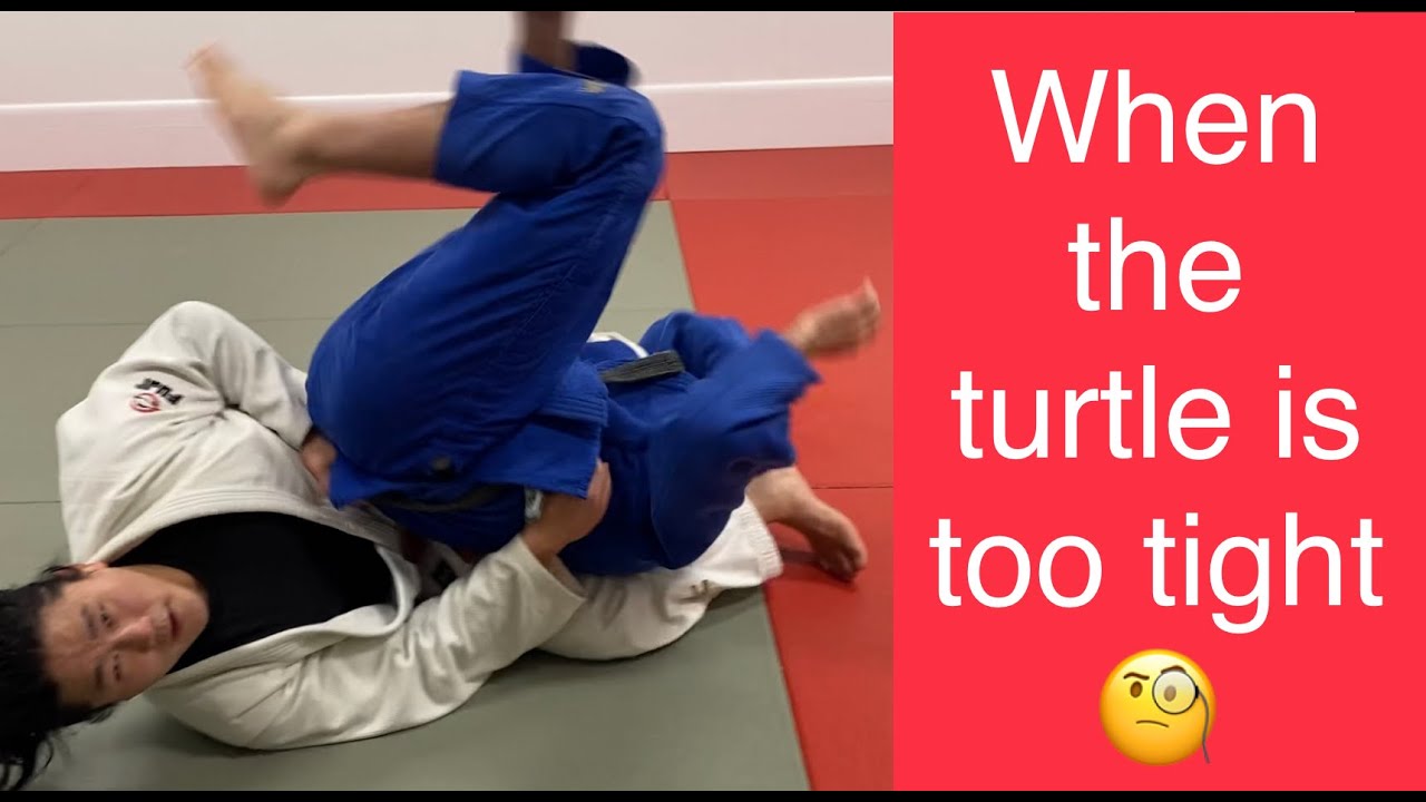 Judo newaza turn over