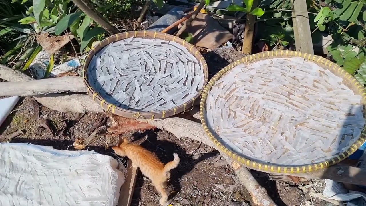 TAK ADA ROTAN AKAR PUN JADI , SEBAGIAN LAHAN PEKARANGAN PAK RT @SARNO MAU TANAM SAYURAN ‼️
