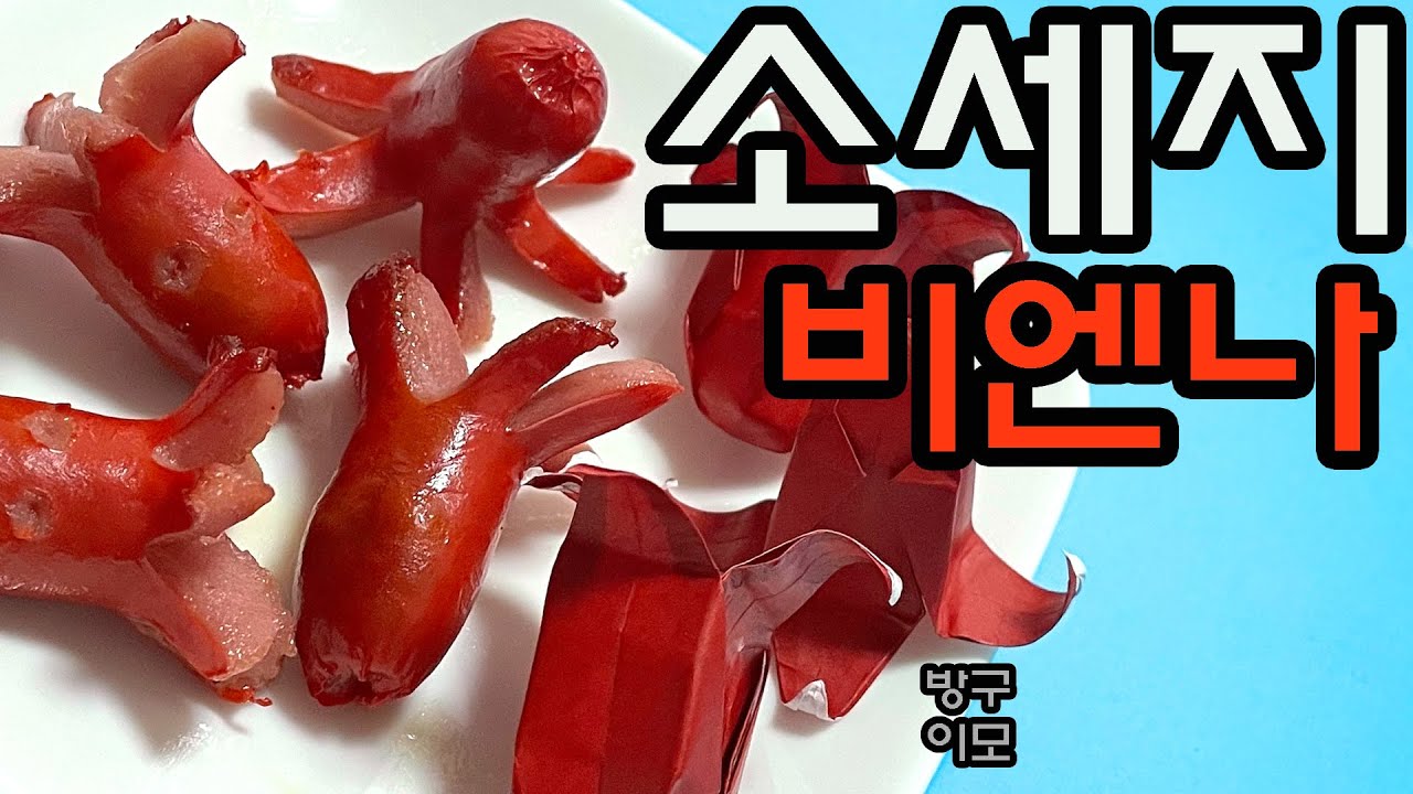 비엔나 소세지 종이접기 | 쉬운 음식종이접기 | 색종이접기 | Origami Sausage