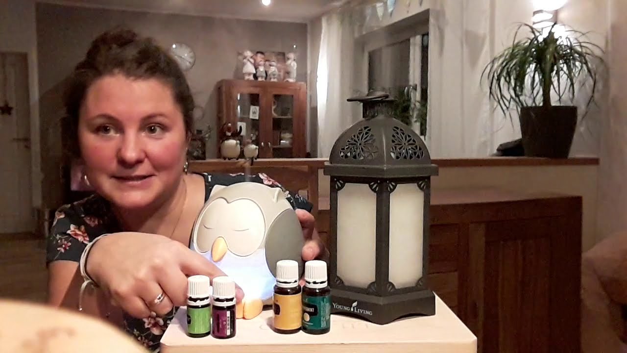 Diffusor, ein Kalt-Verdampfer f&uuml;r &auml;therische &Ouml;le, die Laterne und die Eule