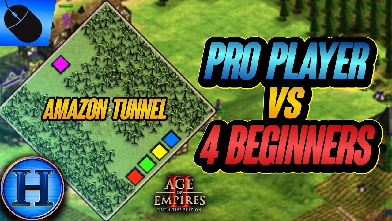 Professional Player vs 4 Beginners On AMAZON TUNNEL | AoE2