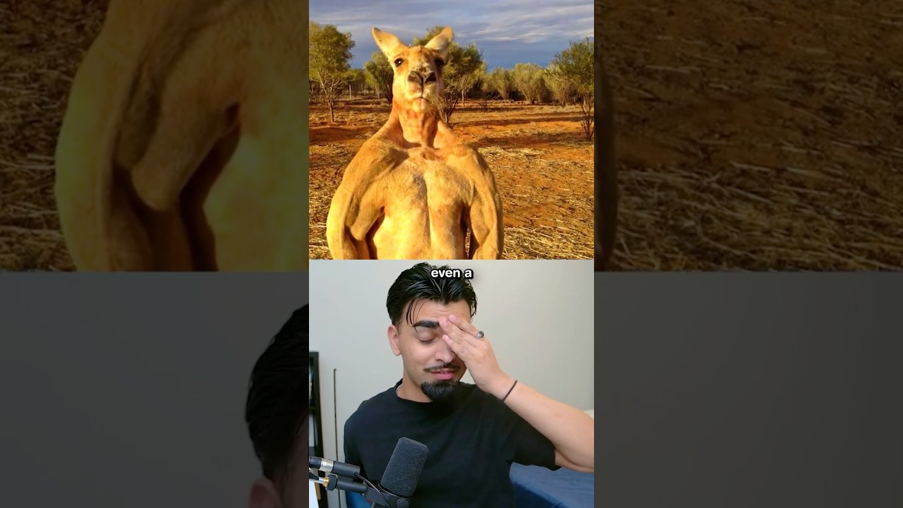 Proof That Australia Is A Different Planet 🤔
