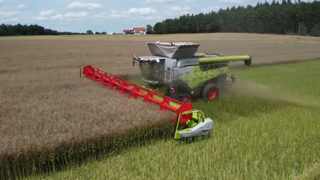 Raps Ernte 2024/ Claas Lexion 8800 TT mit 13,80 m vario
