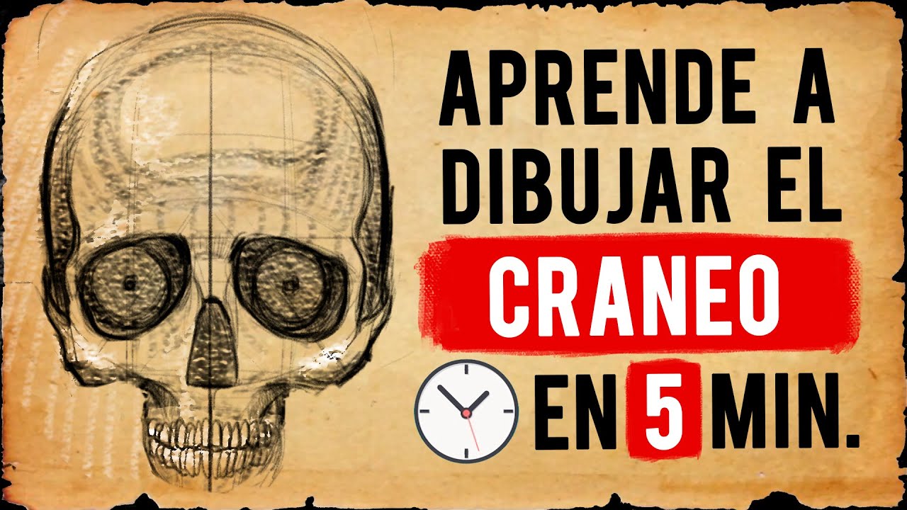 Cómo DIBUJAR el CRÁNEO frontal - (Anatomía del retrato)