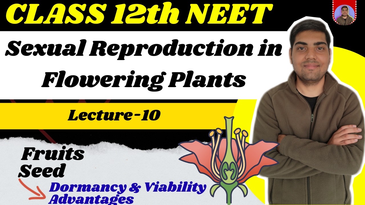 Sexual Reproduction in Flowering Plants | Class 12 | Lecture 10 | Seed and Fruit Formation NEET