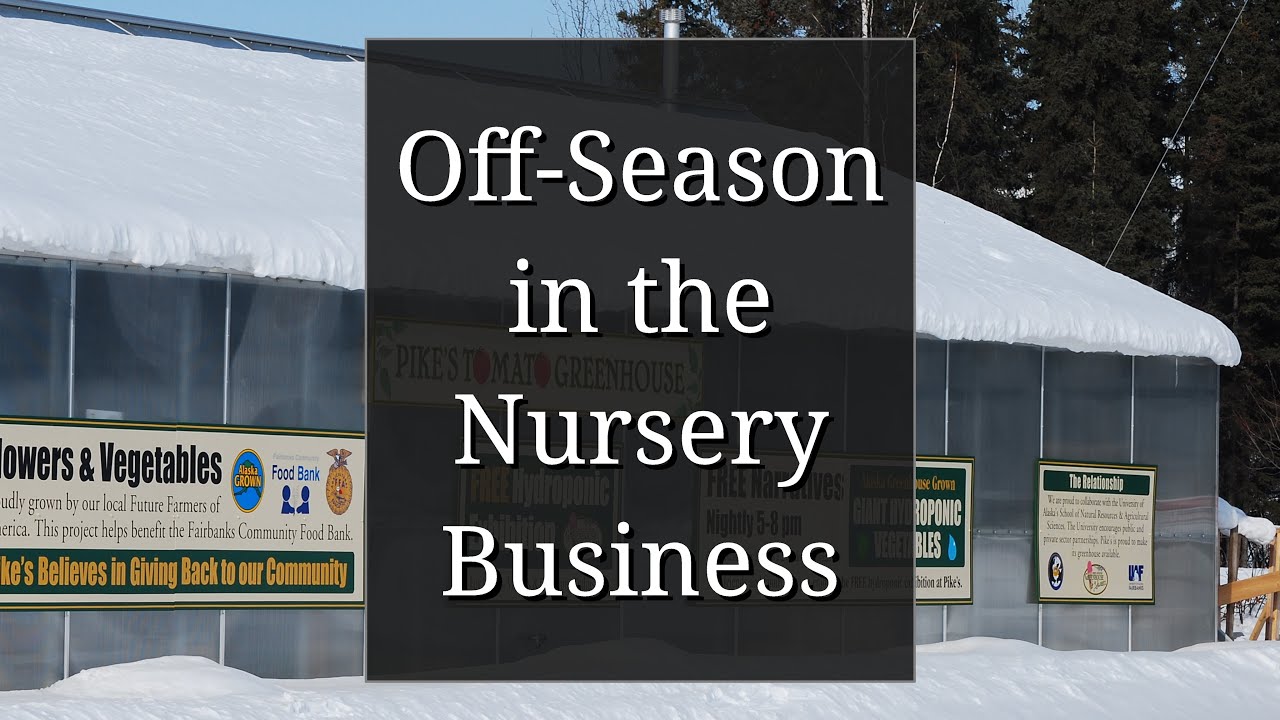 What Should a Plant Business Do in the Winter?