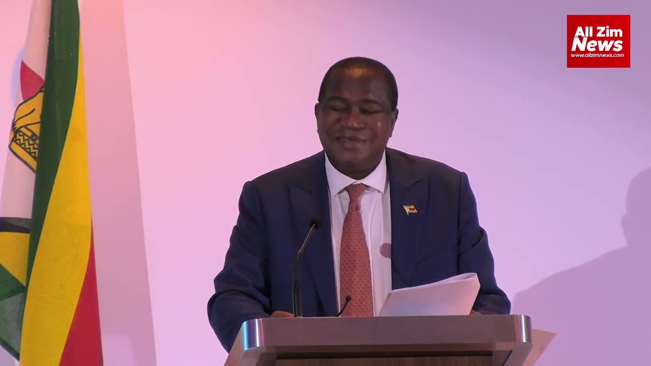 Minister Mthuli Ncube speaks during the ZIDA 2026 BKPO Forum