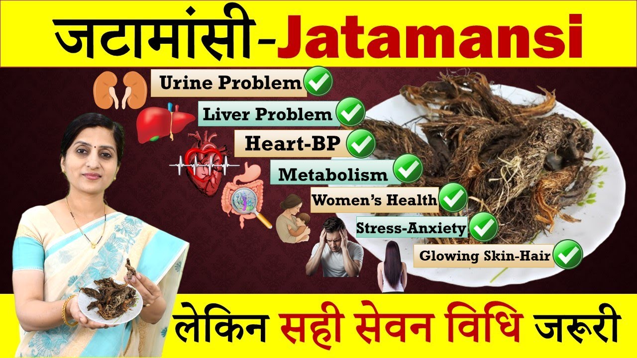 जटामांसी (Jatamansi) के अनगिनत फायदे || 7 Amazing Health Benefits of Jatamansi || सही तरह लेना जरूरी