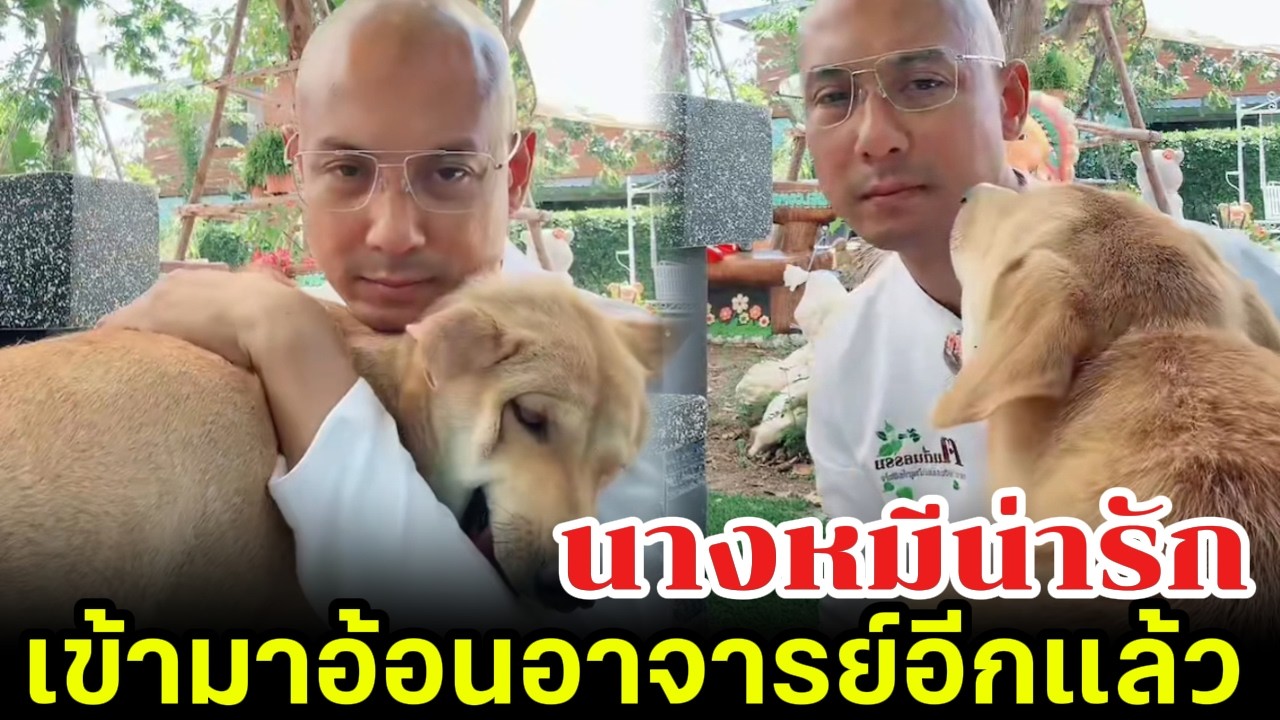 นางหมีน่ารัก เข้ามาอ้อนอาจารย์อีกแล้ว