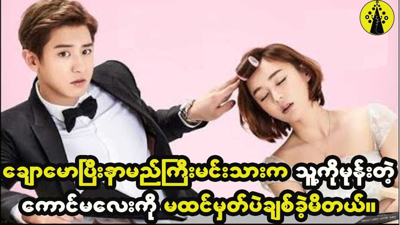 နာမည်ကြီးမင်းသားက သူ့ကိုမုန်းနေခဲ့တဲ့ကောင်မလေးနဲ့ မထင်မှတ်ပဲချစ်မိသွားခဲ့တယ်။