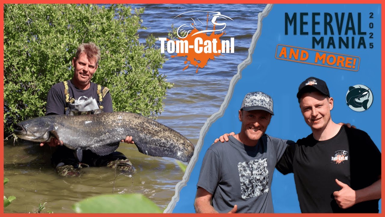 Meerval Mania 2025 - met Tom-Cat.nl bij Fishing Adventure