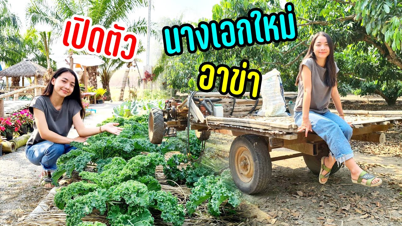 ซื้อของฝากตลาดริมทางนัดเจอสาวอาข่าน่ารักอัธยาศัยดีนั่งกินข้าวร้านวิวสวย #กินเที่ยวกับสาวชนเผ่า1