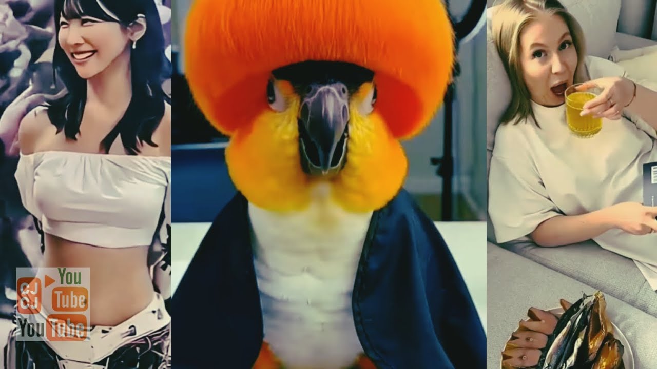 Смешно до слёз😂 Лучшие приколы от CJCJ #64 Март 2026