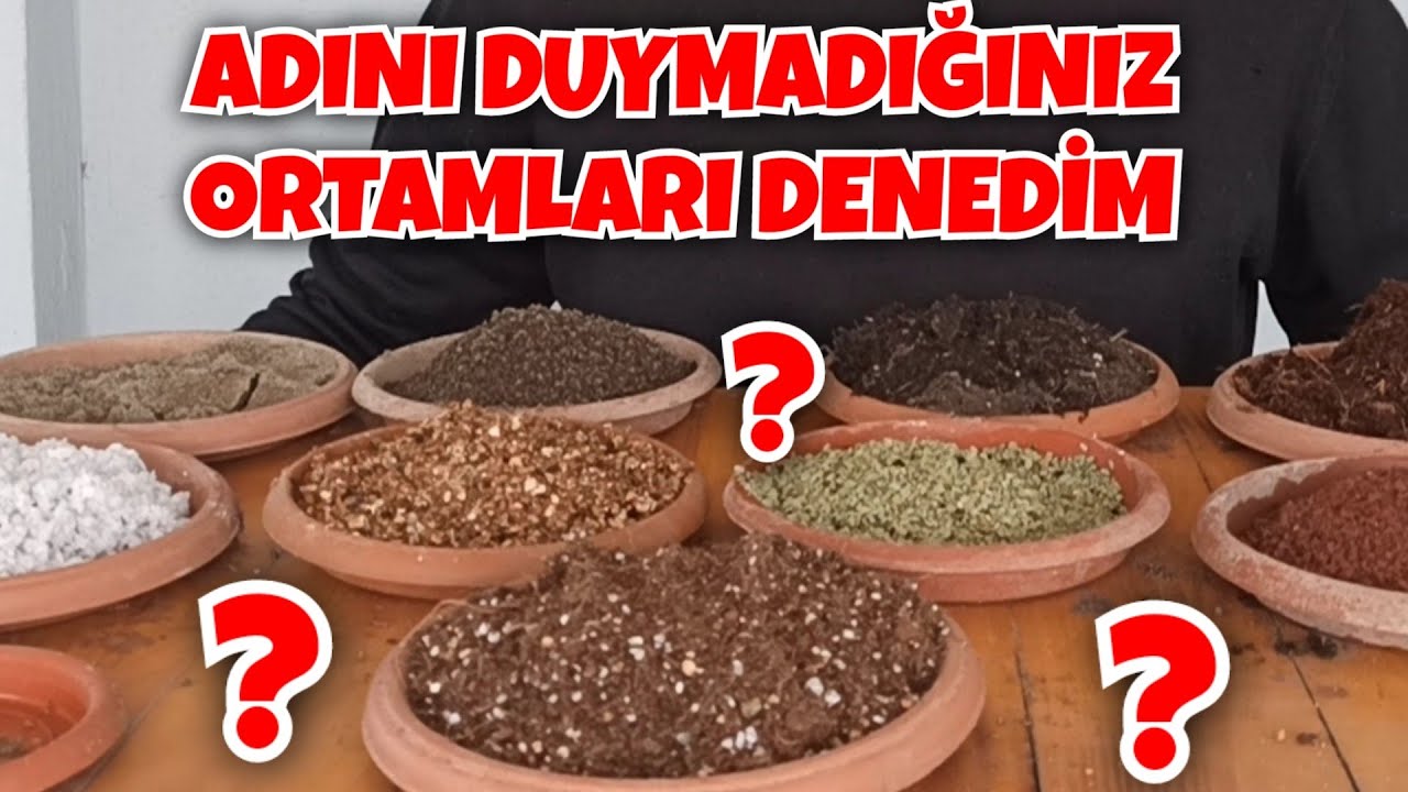 En Hızlı ve En Çok Çimlenme İçin Toprak Nasıl Olmalı