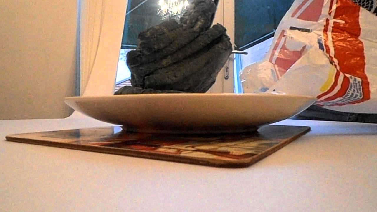 Moldiest Bread in the World!