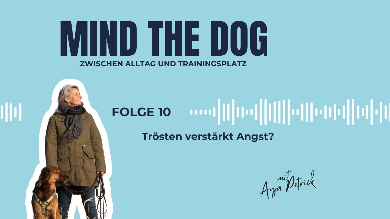 Mind The Dog 10 - Trösten verstärkt Angst?