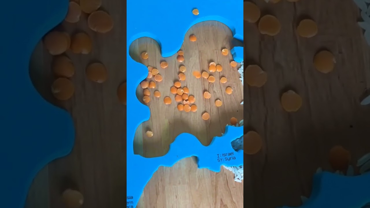 Imagimake | Mapology | Puzzle