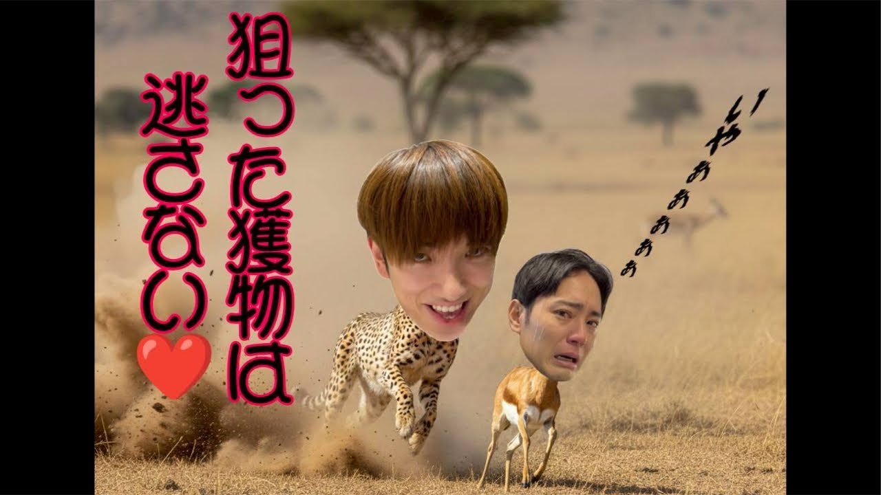 【ゲイカップルの日常】貢ぎ物でブルジョワディナー🍽️