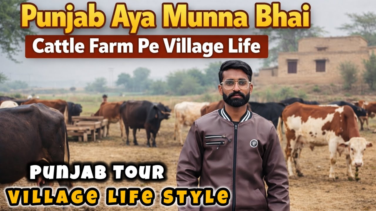 •Shehar Se Punjab Ke Gaon Tak 😲 | Cattle Farm Village Life | Village Tour •#cow # farming