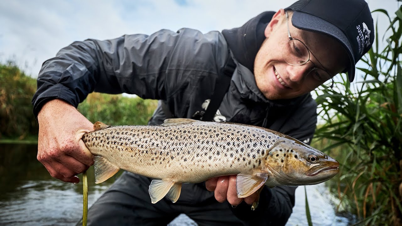 Autumn Fishing For Sea Run Brown Trout, In Tiny Creek - Late Summer Spin Fishing!