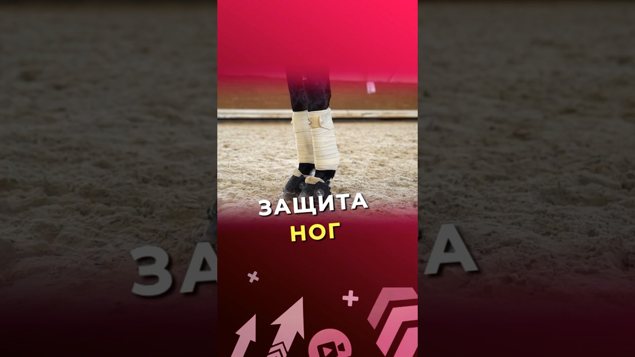 Бинты, ногавки, колокольчики&hellip; Рассказываем, зачем используются, чем отличаются❓А что используете вы?