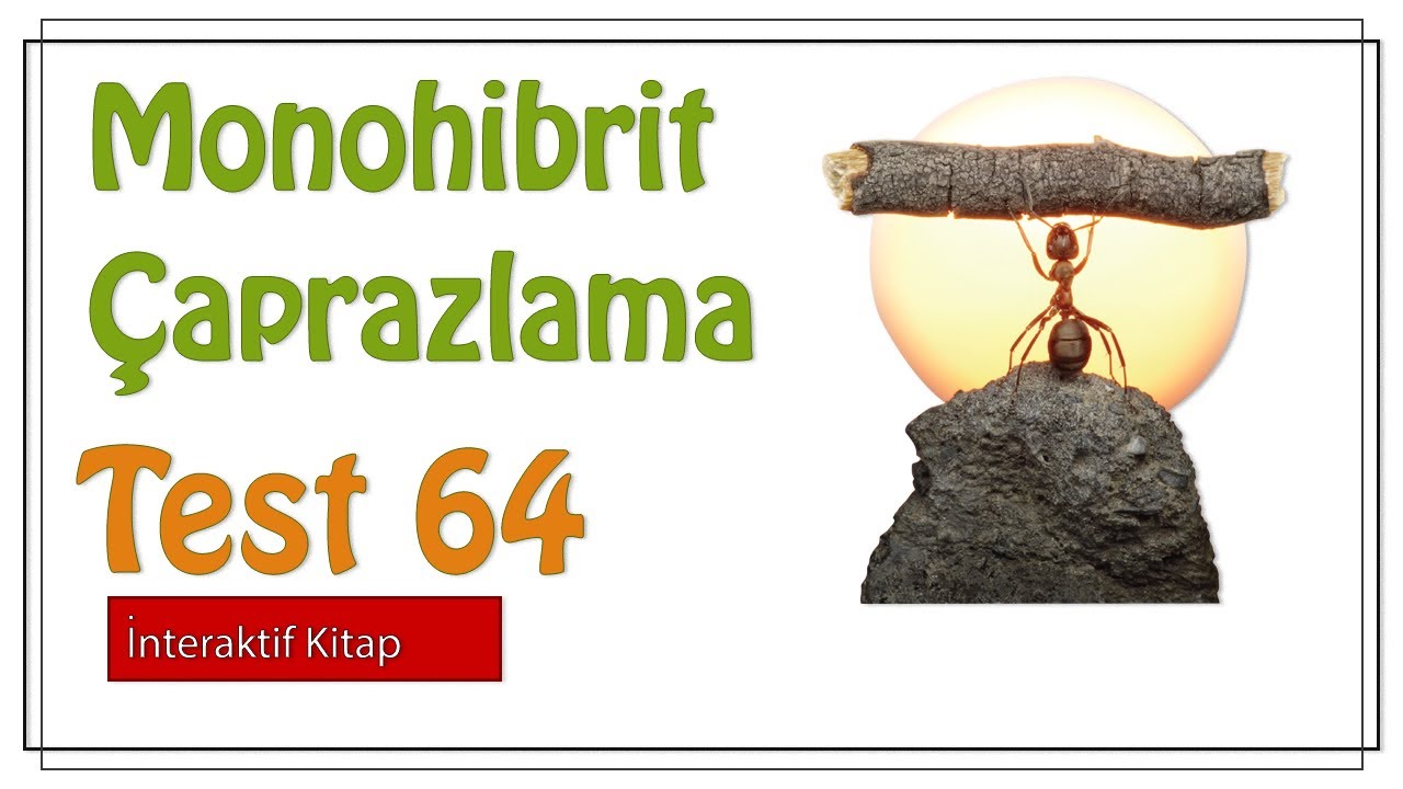 Test 64 #sayfa145